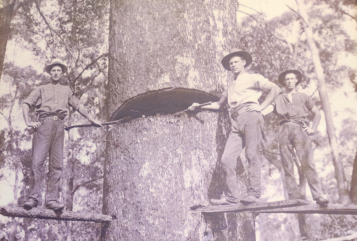 Tree removal old school